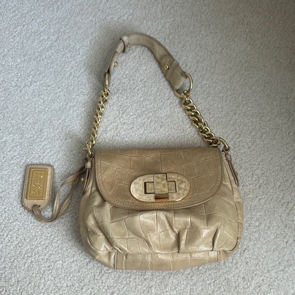 Badgley Mischka purse